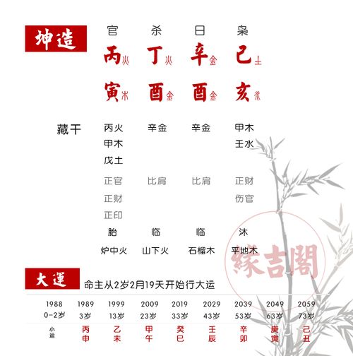 傷官生財格身弱反爲窮